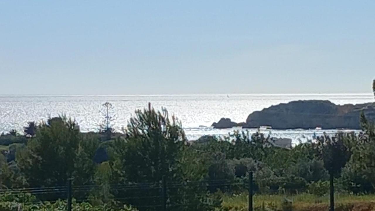 波尔蒂芒Sea Moments Mar A Vista公寓 外观 照片